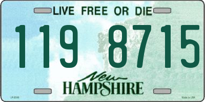 NH license plate 1198715