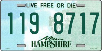 NH license plate 1198717
