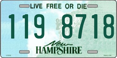 NH license plate 1198718