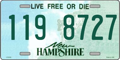 NH license plate 1198727