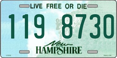 NH license plate 1198730