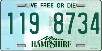 NH license plate 1198734