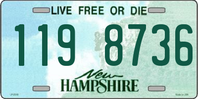 NH license plate 1198736