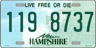 NH license plate 1198737