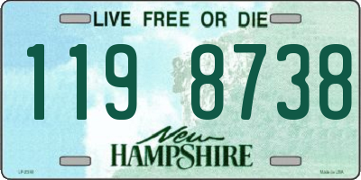 NH license plate 1198738