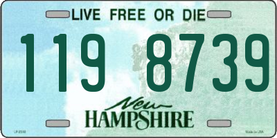 NH license plate 1198739