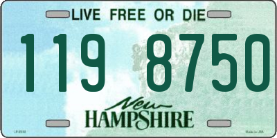 NH license plate 1198750