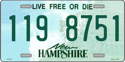 NH license plate 1198751