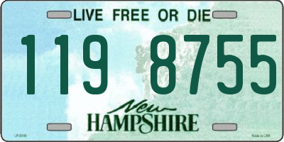 NH license plate 1198755