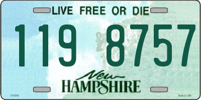 NH license plate 1198757