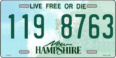 NH license plate 1198763