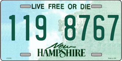 NH license plate 1198767