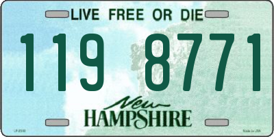 NH license plate 1198771