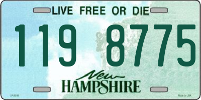 NH license plate 1198775