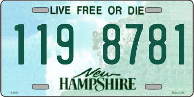 NH license plate 1198781