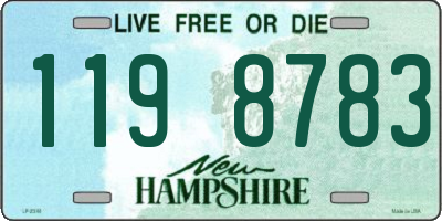 NH license plate 1198783