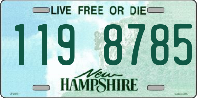 NH license plate 1198785