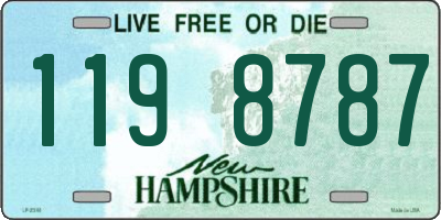 NH license plate 1198787