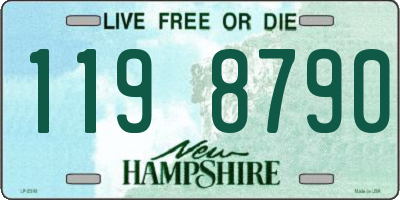 NH license plate 1198790