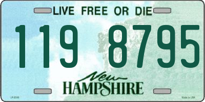 NH license plate 1198795