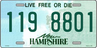 NH license plate 1198801