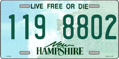 NH license plate 1198802