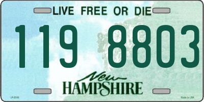 NH license plate 1198803