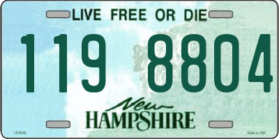 NH license plate 1198804