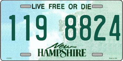 NH license plate 1198824