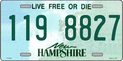 NH license plate 1198827