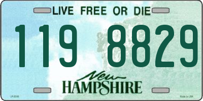 NH license plate 1198829