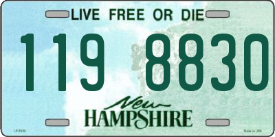 NH license plate 1198830