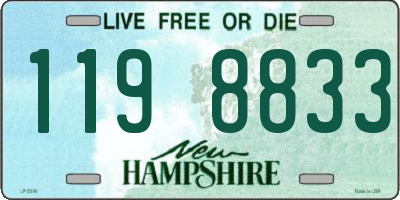 NH license plate 1198833