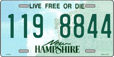 NH license plate 1198844