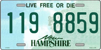 NH license plate 1198859