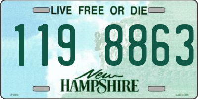 NH license plate 1198863