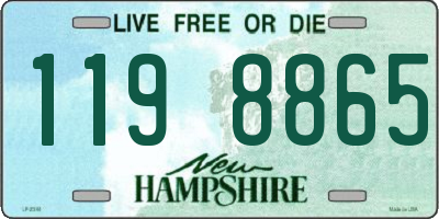 NH license plate 1198865