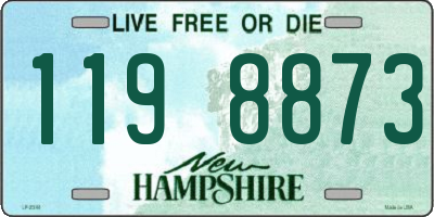 NH license plate 1198873
