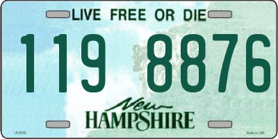 NH license plate 1198876