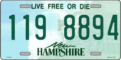 NH license plate 1198894