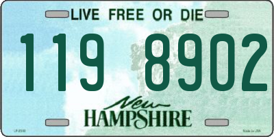 NH license plate 1198902
