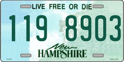 NH license plate 1198903