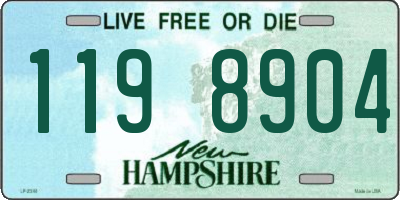 NH license plate 1198904