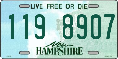 NH license plate 1198907