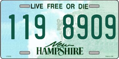 NH license plate 1198909