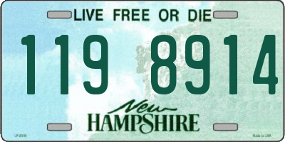 NH license plate 1198914