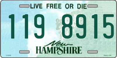 NH license plate 1198915