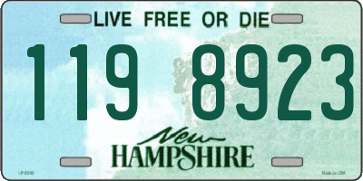 NH license plate 1198923