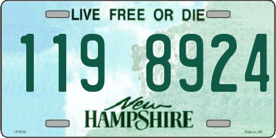 NH license plate 1198924