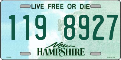 NH license plate 1198927